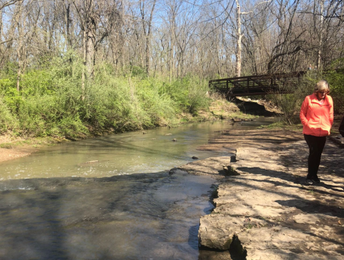 A person in an orange jacket stands by a calm stream surrounded by trees and greenery on a sunny day.