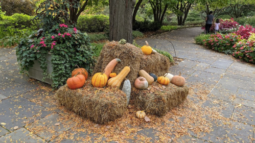 A display of pumpkins and gourds on hay bales surrounded by colorful flowers and fallen leaves in a garden setting.