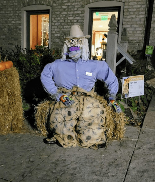A scarecrow dressed in a blue shirt and straw hat, sitting on a hay bale with pumpkins nearby.
