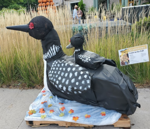 A large scarecrow of a loon with a chick, made from black and white materials, surrounded by autumn leaves.