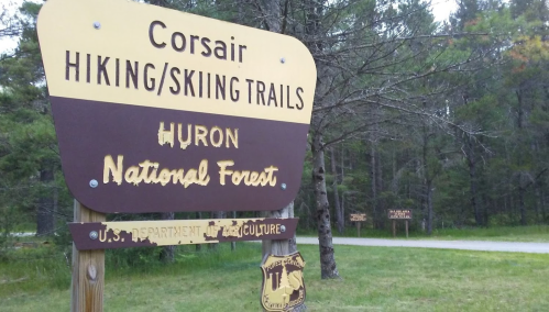 Sign for Corsair Hiking/Skiing Trails in Huron National Forest, surrounded by trees and grassy area.