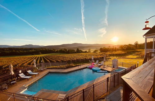 A scenic view of a pool overlooking vineyards and mountains at sunset, with lounge chairs and a pink float in the water.