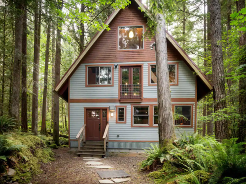 A cozy, modern cabin nestled among tall trees in a lush forest setting.