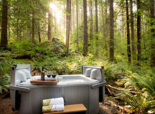 A hot tub in a serene forest setting, surrounded by lush greenery and soft sunlight filtering through the trees.