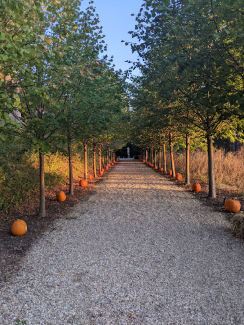 A gravel path lined with trees and pumpkins, leading into a serene, sunlit area.