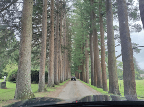 A gravel road lined with tall trees, leading to a distant vehicle under a cloudy sky.