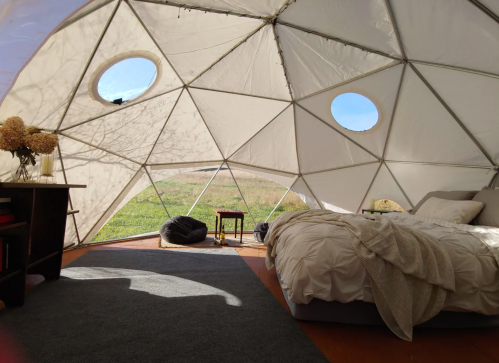 Interior of a geodesic dome with a bed, small table, and large windows, surrounded by greenery. Cozy and inviting atmosphere.