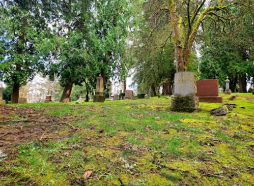 A serene cemetery scene with moss-covered ground, gravestones, and tall trees under a cloudy sky.