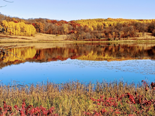 A serene lake reflecting vibrant autumn foliage and clear blue skies, surrounded by golden and red trees.