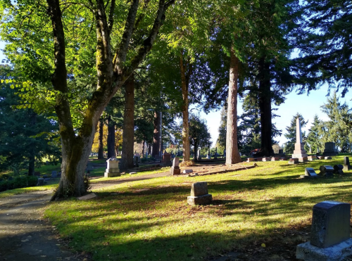 A serene cemetery scene with tall trees, grassy areas, and gravestones under a clear blue sky.