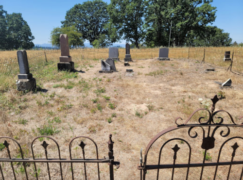 A small, overgrown cemetery with several gravestones enclosed by a wrought iron fence under a clear blue sky.