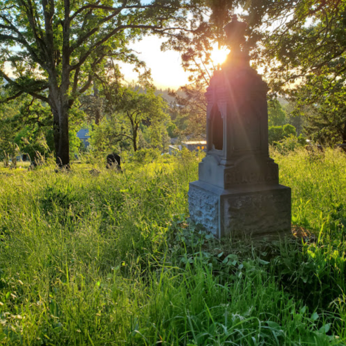 A sunlit gravestone surrounded by tall grass and trees in a serene cemetery setting.