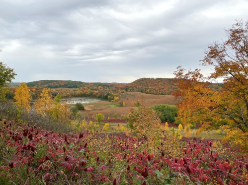 A scenic view of rolling hills with autumn foliage in vibrant reds, oranges, and yellows under a cloudy sky.