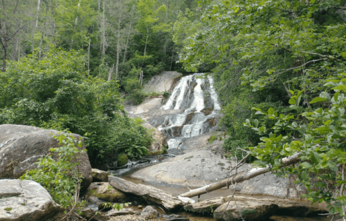 A serene waterfall cascades over rocks, surrounded by lush green trees and foliage.