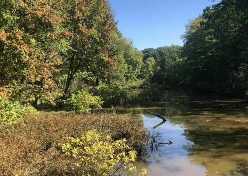 A serene landscape featuring a calm pond surrounded by trees with autumn foliage under a clear blue sky.