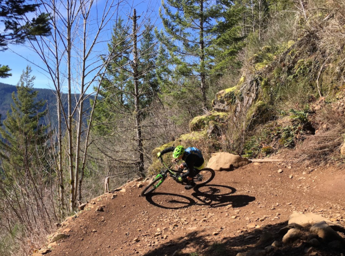 A mountain biker navigates a winding dirt trail surrounded by trees and rocky terrain on a sunny day.