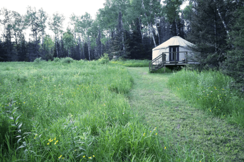 A yurt on a wooden platform surrounded by tall grass and trees in a serene, natural setting.