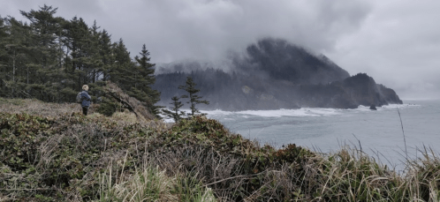 A person stands on a grassy cliff overlooking a misty coastline with waves crashing against the shore.