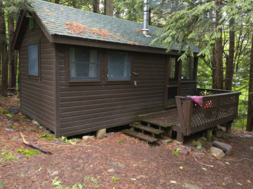A small brown cabin nestled among trees, featuring a porch and steps leading to the entrance.
