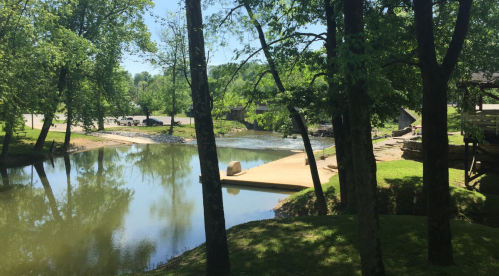 A serene river scene surrounded by trees, with a small sandy area and gentle water flow in the background.