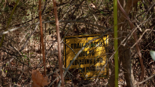 A yellow sign reading "Trail Closed Due to Flooding" is partially obscured by branches and foliage.