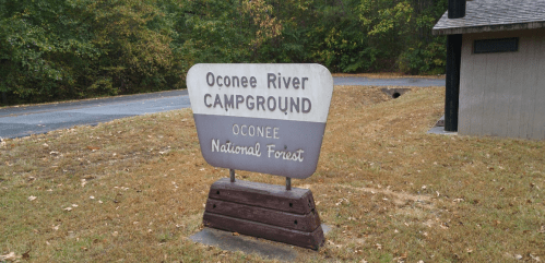 Sign for Oconee River Campground in Oconee National Forest, surrounded by trees and grassy area.