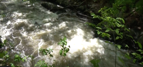 A flowing river with turbulent water surrounded by lush green foliage.