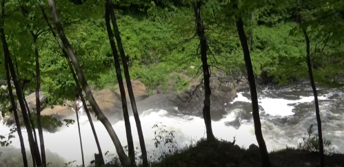 A serene river flows through a lush green forest, framed by tall trees on the banks.