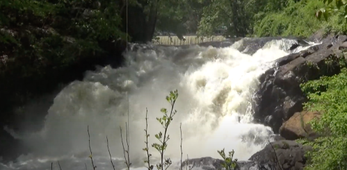 A rushing waterfall cascades over rocks, surrounded by lush greenery and trees.