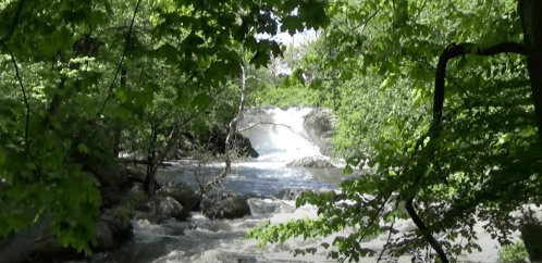 A serene view of a waterfall framed by lush green trees and rocks, with flowing water in a peaceful natural setting.
