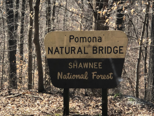 Sign for Pomona Natural Bridge in Shawnee National Forest, surrounded by bare trees and autumn leaves.