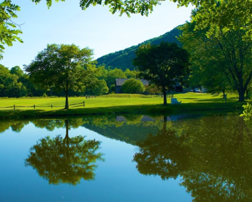 A serene landscape featuring a calm pond reflecting trees and a mountain under a clear blue sky.