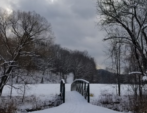 A snow-covered bridge leads into a winter landscape with trees and a cloudy sky.