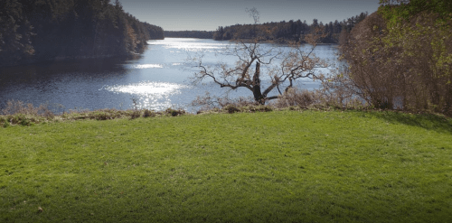 A serene lake view surrounded by trees, with sunlight reflecting on the water and a grassy foreground.
