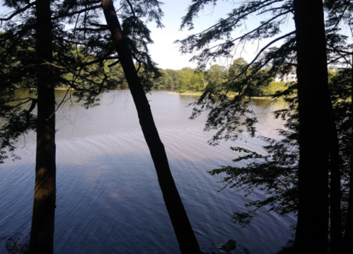 A serene lake surrounded by trees, reflecting the clear blue sky and gentle ripples on the water's surface.