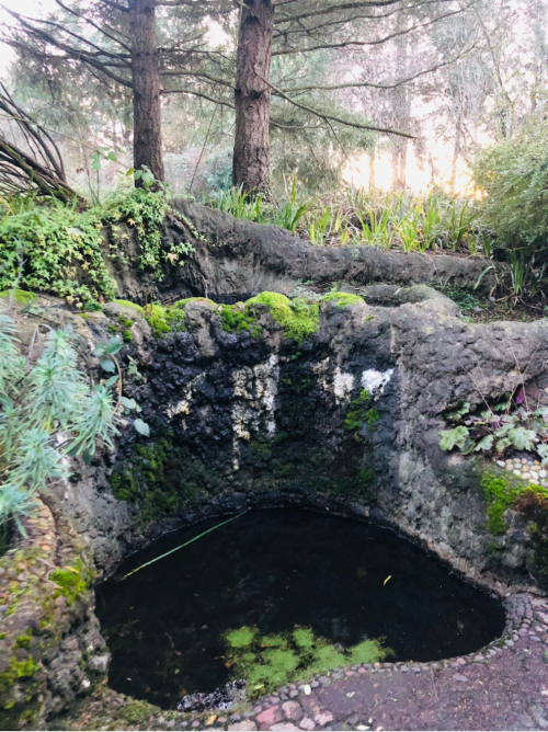 A moss-covered stone well surrounded by greenery and trees, reflecting the soft light of the setting sun.