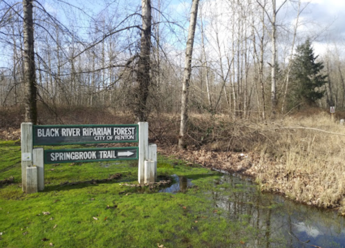 Sign for Black River Riparian Forest and Springbrook Trail, surrounded by trees and wetland vegetation.