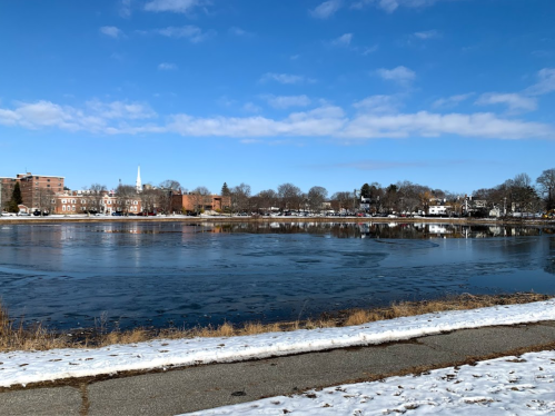 A serene winter scene featuring a frozen lake, snow-covered ground, and a clear blue sky with distant buildings.