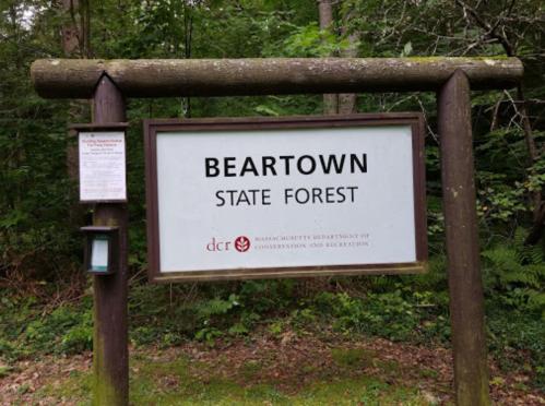 Sign for Beartown State Forest, surrounded by trees, indicating the location and managed by Massachusetts DCR.