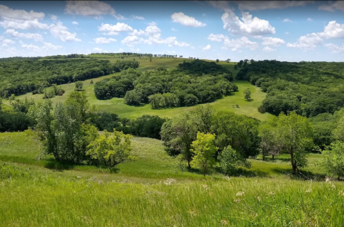 Lush green hills and trees under a bright blue sky with fluffy clouds, creating a serene landscape.