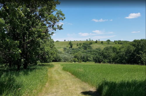 A grassy path winds through lush greenery, leading to rolling hills under a clear blue sky.