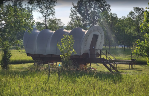 A covered wagon on wheels sits in a grassy field, surrounded by trees and sunlight.