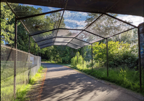 A pathway covered by a mesh roof, surrounded by greenery and trees, with a fence on one side.