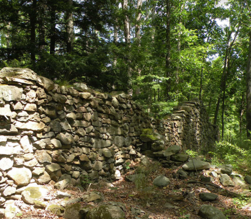 A weathered stone wall partially covered in moss, surrounded by lush green trees and underbrush in a forested area.