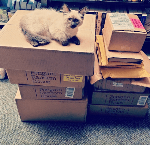 A fluffy cat lounging on top of stacked boxes from Penguin Random House in a cozy setting.