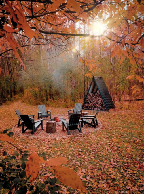 A cozy outdoor scene with four chairs around a fire pit, surrounded by autumn leaves and a woodpile in the background.