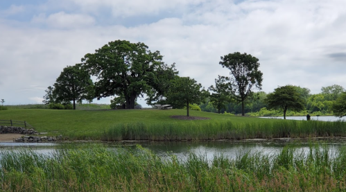 A serene landscape featuring a calm pond, lush green grass, and trees under a cloudy sky.
