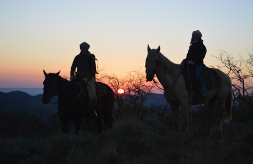 Silhouettes of two riders on horseback against a sunset, with trees and hills in the background.