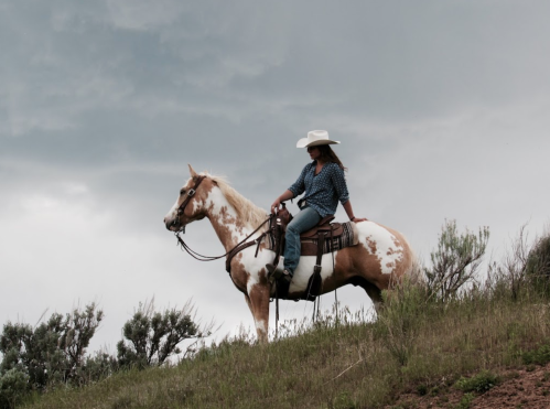 A person in a cowboy hat sits on a painted horse atop a grassy hill under a cloudy sky.