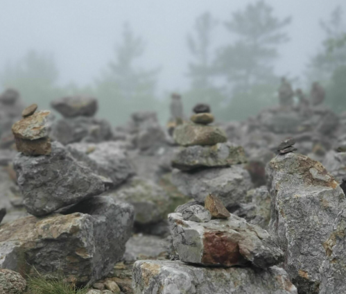 A misty landscape featuring stacked stones on rocky terrain, surrounded by blurred trees in the background.
